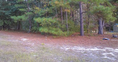 00 Tyler Rd, Orangeburg, SC 29115 - photo 7