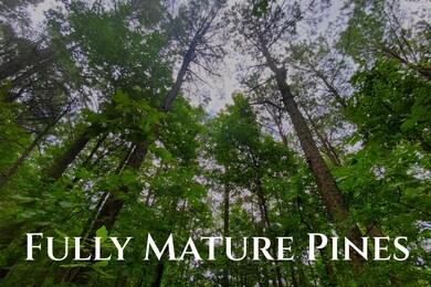 0000B Sugarberry Trail, Hochatown, OK 74728 - photo 5