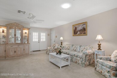 6217 Ocean Pines Ln, Spring Hill, FL 34606 - photo 6