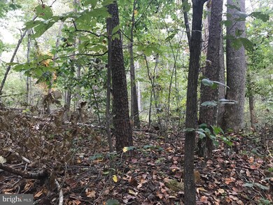 0 Brinkley Sperryville unit VARP2000412, Boston, VA 22713 - photo 5