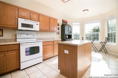 2715 Encino River, San Antonio, TX 78259 - photo 5