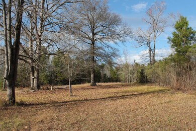 0 Highway 220 unit 449638, Lincolnton, GA 30817 - photo 4
