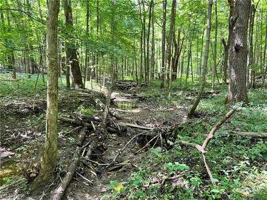 0 Ruff Rd unit 4496008, West Salem, OH 44287 - photo 4