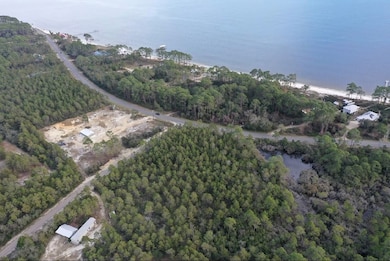 2043 Highway 98 W, Carrabelle, FL 32322 - photo 2