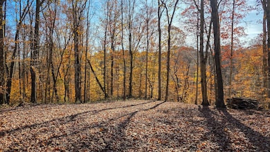 586 Nibert Rd unit (Ponds Poplar Ridge, Gallipolis, OH 45631 - photo 5