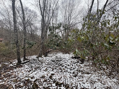 640 Hemlock Ln, Mars Hill, NC 28754 - photo 4