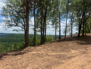 106 Nc 6829, Jasper, AR 72641 - photo 5