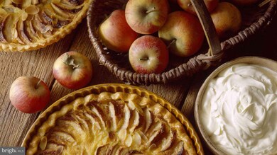 15002 Mountain Rd, Hillsboro, VA 20132 - photo 2