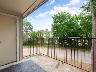 3500 Tangle Brush Dr unit 216, Spring, TX 77381 - photo 3