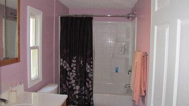 1005 S Ohio Ct, Sturgis, MI 49091 - photo 4