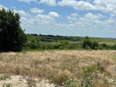 2517 Tom Chaney Dr unit 103, Cresson, TX 76035 - photo 6