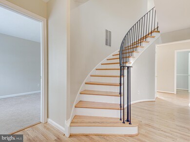 8347 Forrester Blvd, Springfield, VA 22152 - photo 4