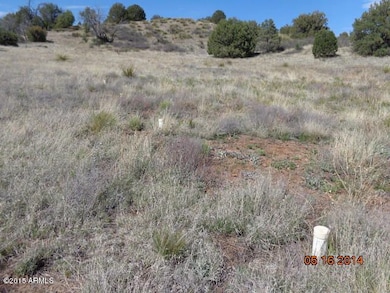 septic leach field