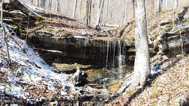 0 Junaluska Dr unit 1299475, Jamestown, TN 38556 - photo 4