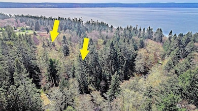 Aerial View of Area and location