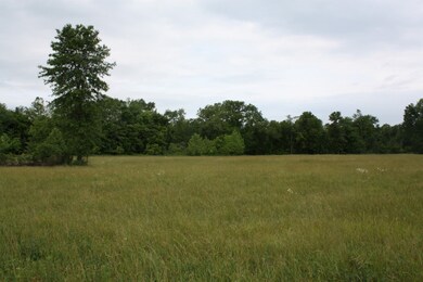 Lots of open ground
