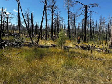 1175-1176 Macomber Ln unit 1175-1176, Fort Garland, CO 81133 - photo 4