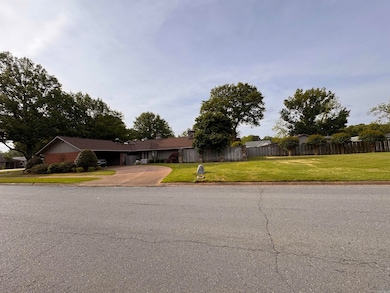 1002 S Lowe St, Stuttgart, AR 72160 - photo 5