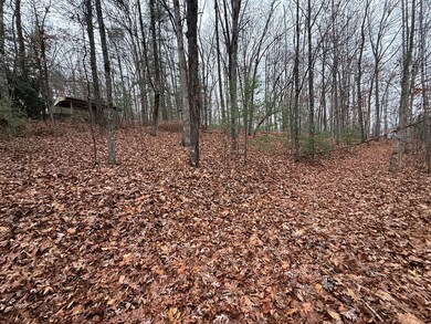 0 Rosenkranz Ln unit 154234, Hiawassee, NC 28904 - photo 3