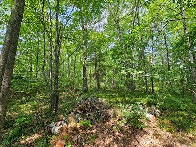 ON Marie Ln, Minocqua, WI 54548 - photo 5