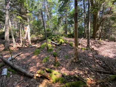 lot 13 Upper Spruce Shore Rd, Harpswell, ME 04079 - photo 4