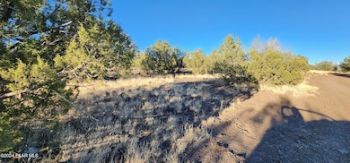 88-A Rose Ln, Ash Fork, AZ 86320 - photo 6