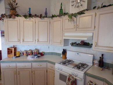 Kitchen area