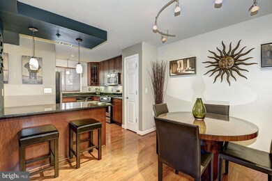 The West Village of Shirlington unit 204, Arlington, VA 22204 - photo 5
