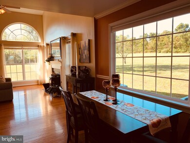 445 Cather Rd, Berryville, VA 22611 - photo 7