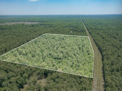 xx Acorn Dr, Crawfordville, FL 32327 - photo 5