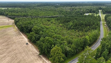 0 Giles Rd unit LotWP003 24182709, Linden, NC 28356 - photo 4