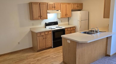 5293 Manchester Dr unit 4, Maple Plain, MN 55359 - photo 3