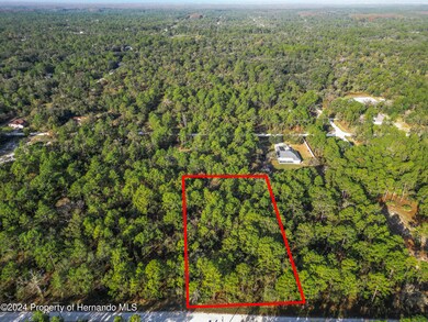 -0 Macek Road-7-Lot Lines