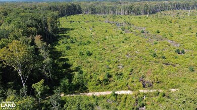 Tbd Highway 63, Ruffin, SC 29475 - photo 4