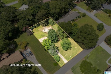 521 13th St SW, Alabaster, AL 35007 - photo 4