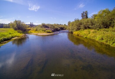 347 Newaukum Valley Rd, Chehalis, WA 98532 - photo 6
