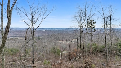974 Bluff Ledge Trail, Hixson, TN 37343 - photo 5