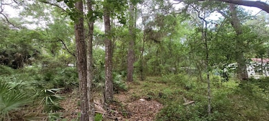 000 NE 153rd St, Fort Mc Coy, FL 32134 - photo 2