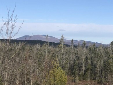 81 Duncan Lake Rd, Ossipee, NH 03864 - photo 2