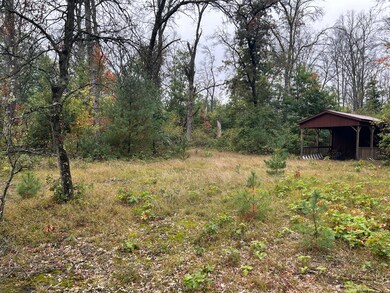 v/l S Broadway St, Baldwin, MI 49304 - photo 5