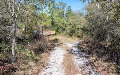 1032 SW Van Buren Rd, Mayo, FL 32066 - photo 2