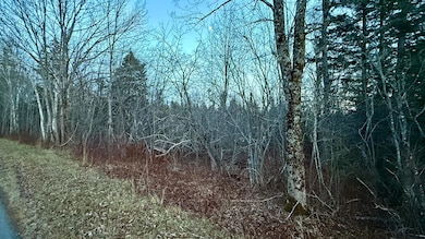 28.4 Wilcox Rd, East Central Washington, ME 04652 - photo 3