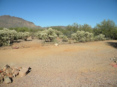 Back yard view #3