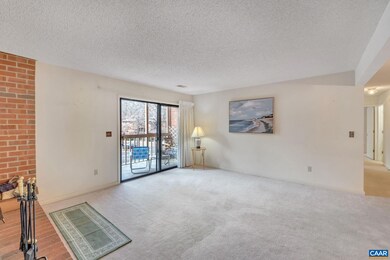 103 Turtle Creek Rd unit 5, Charlottesville, VA 22901 - photo 4