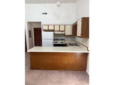 Kitchen featuring electric range, a sink, carpet, 