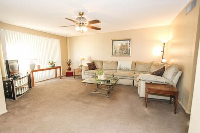 4 Large Family Room