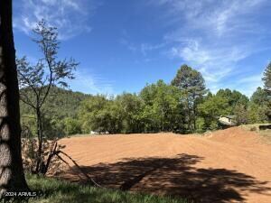 000000 Juniper Rd, Strawberry, AZ 85544 - photo 5