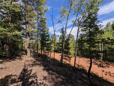 60 Fluorite Ln, Midland, CO 80814 - photo 5