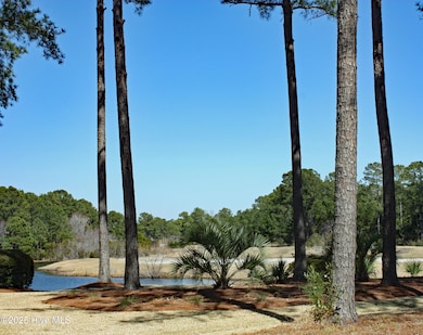 Pond Views