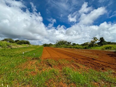 0 Puueo Mauka Dr, Hilo, HI 96720 - photo 5